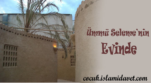 Ümmü Seleme'nin Evinde
