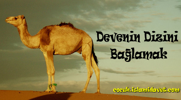 Devenin Dizini Bağlamak