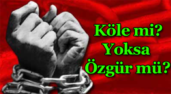 Köle midir yoksa Özgür mü?