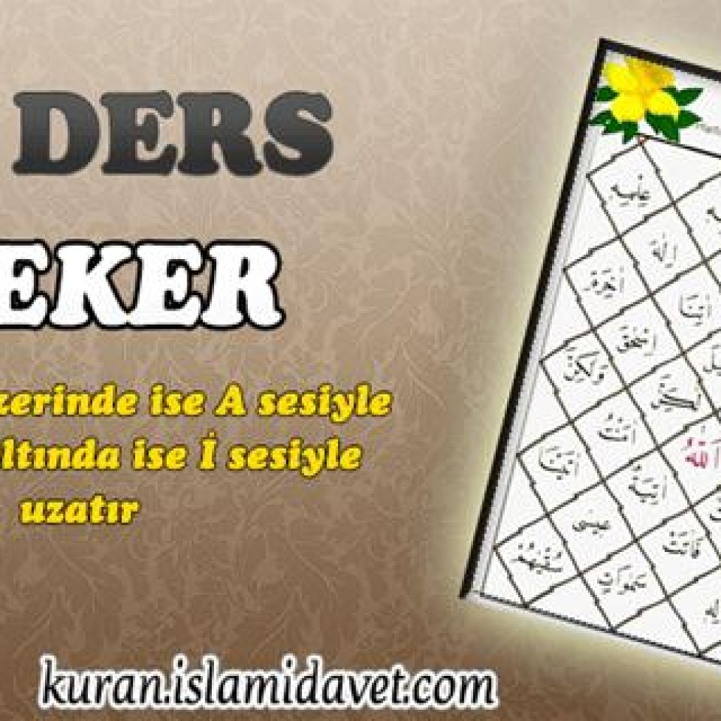 Ders 16: Çeker