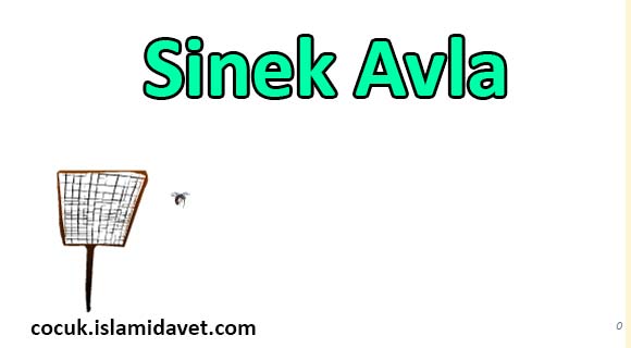 Sinek Avla