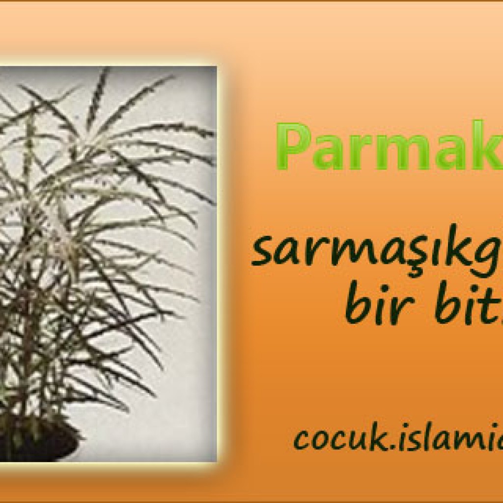 Parmakaralya