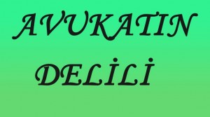 AVUKATIN DELİLİ