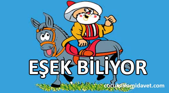 EŞEK BİLİYOR