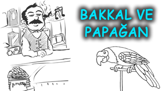 BAKKAL VE PAPAĞAN