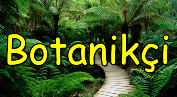 Botanikçi botanikçi