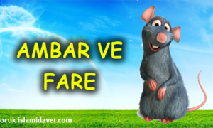 fare
