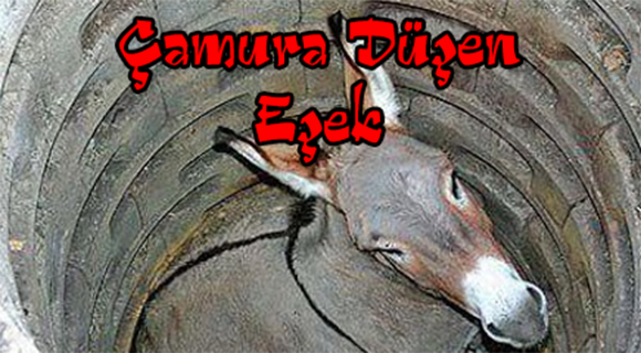 ÇAMURA DÜŞEN EŞEK