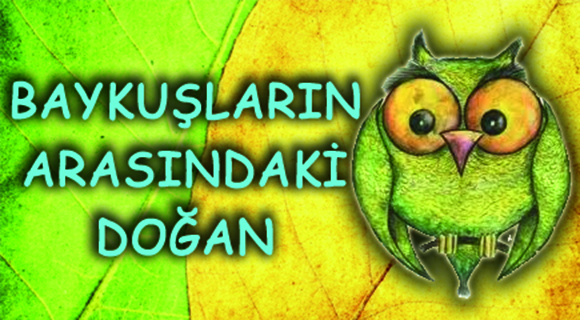 BAYKUŞLARIN ARASINDAKİ DOĞAN