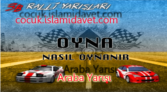 Ralli Yarışları