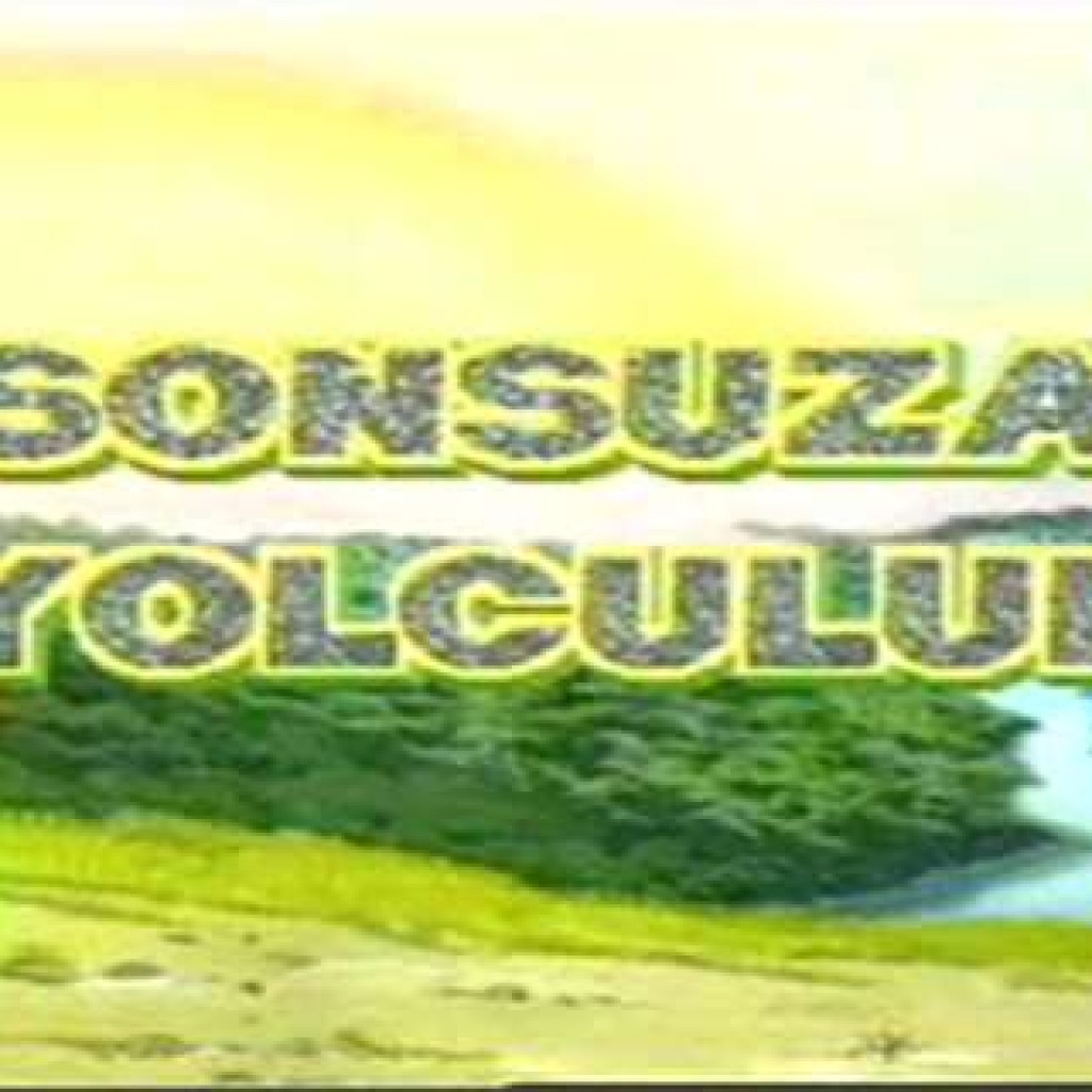 Kral ve Çocuk Bölüm-2