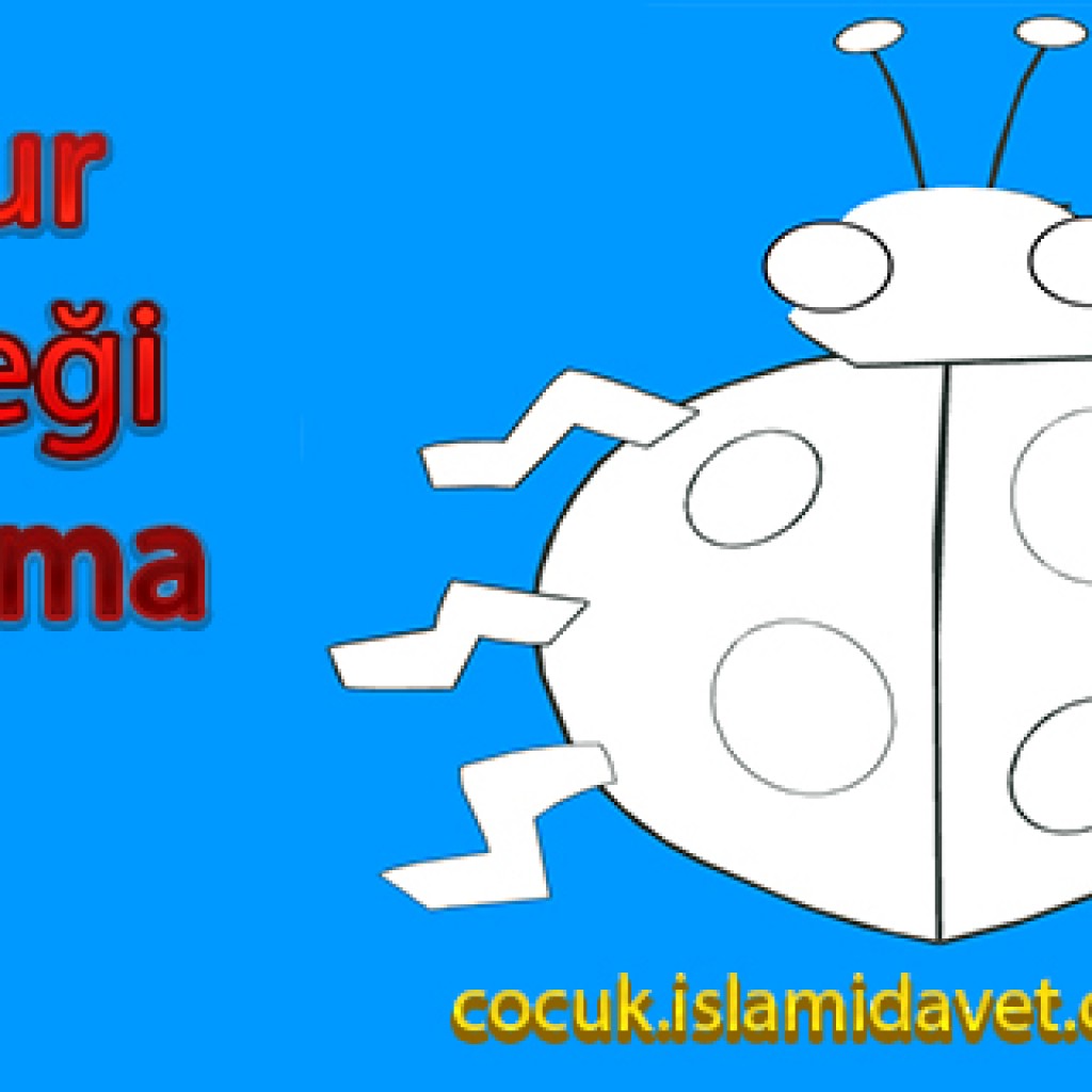 Uğur Böceği Boyama