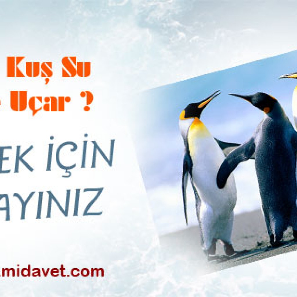 HANGİ KUŞ SU İÇİNDE UÇAR?