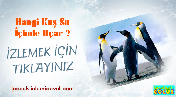 HANGİ KUŞ SU İÇİNDE UÇAR?