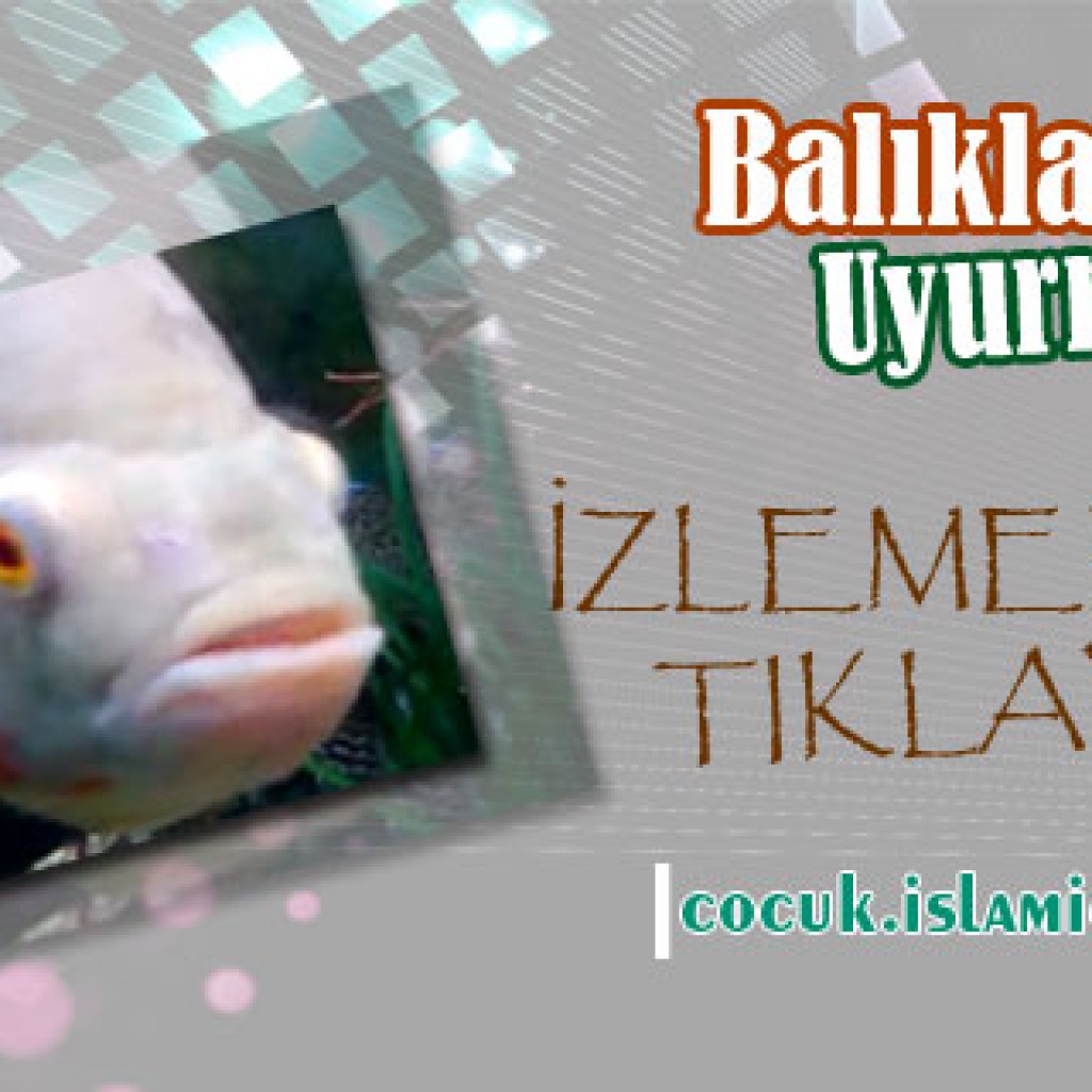 Balıklarda Uyur mu?