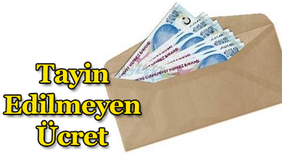 Tayin Edilmeyen Ücret tayin edilmeyen ücret