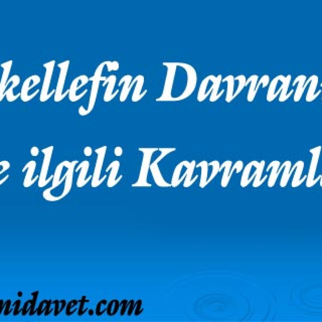 Mükellefin Davranışları İle İlgili Kavramlar