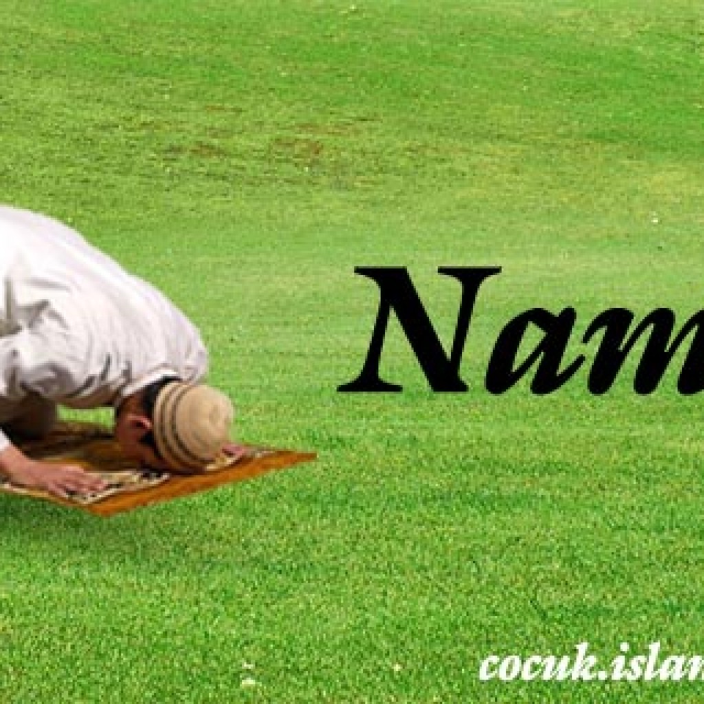 Namaz Namaz