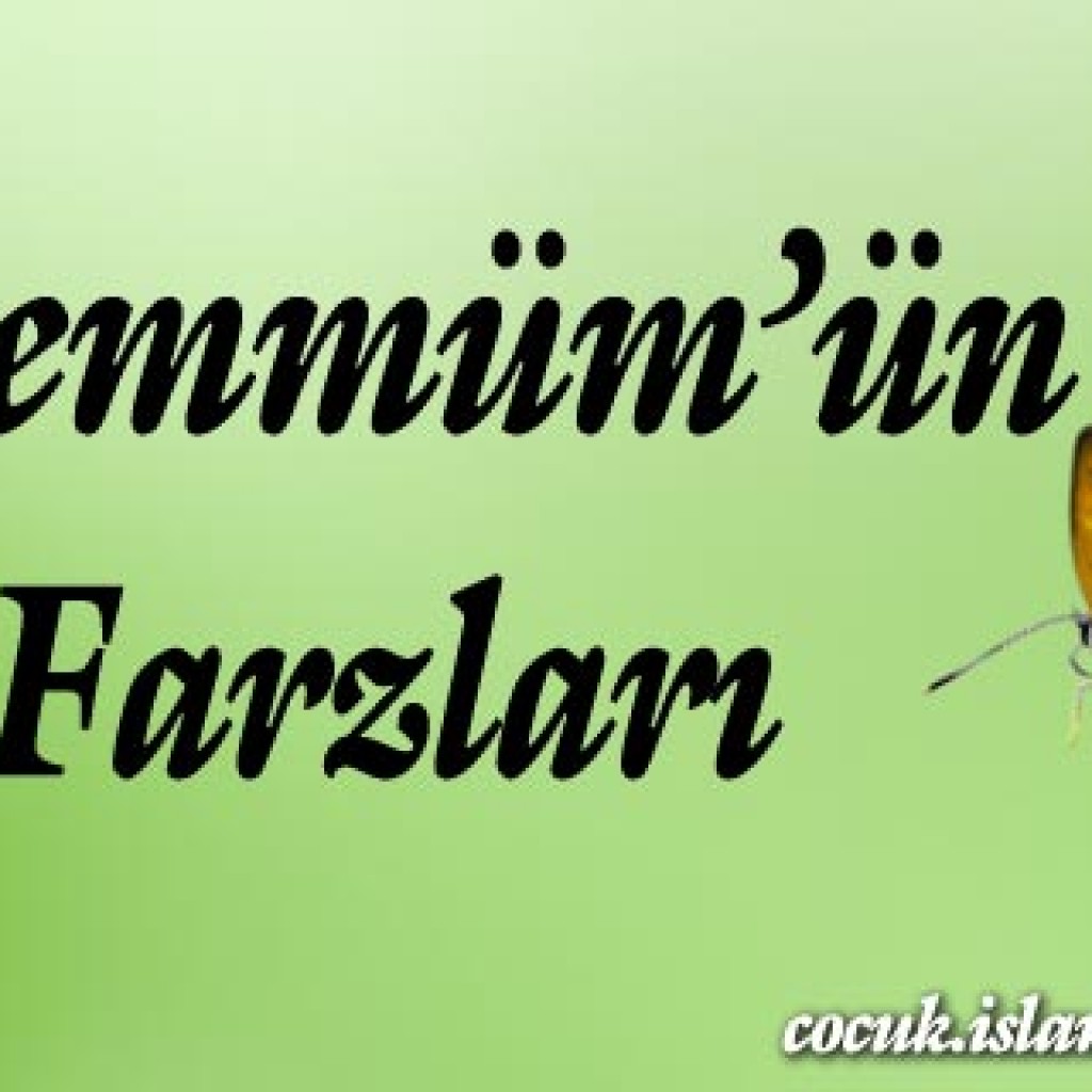 Teyemmüm