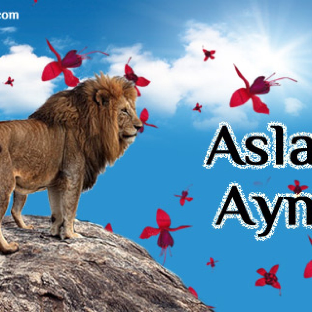 Aslanın Aynası Aslanın Aynası