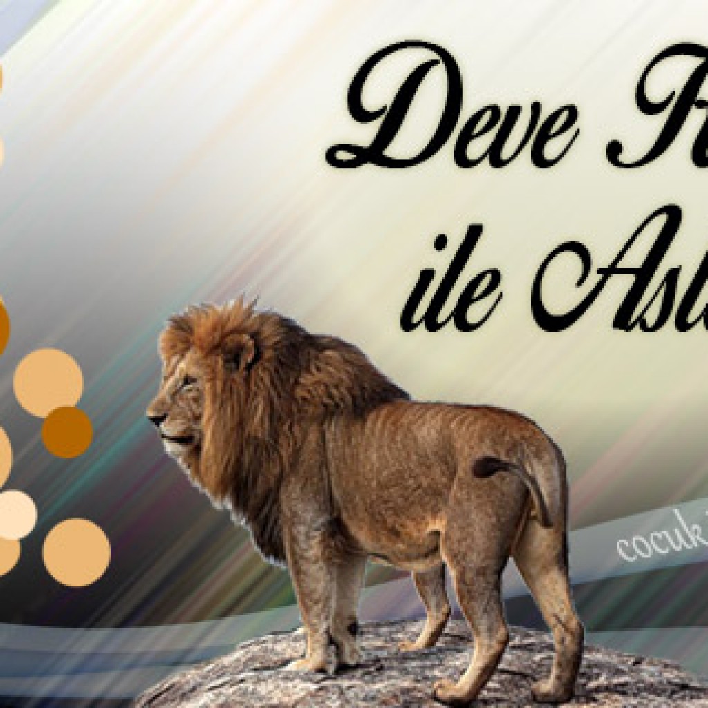 Deve Kuşu ile Aslan Deve Kuşu ile Aslan