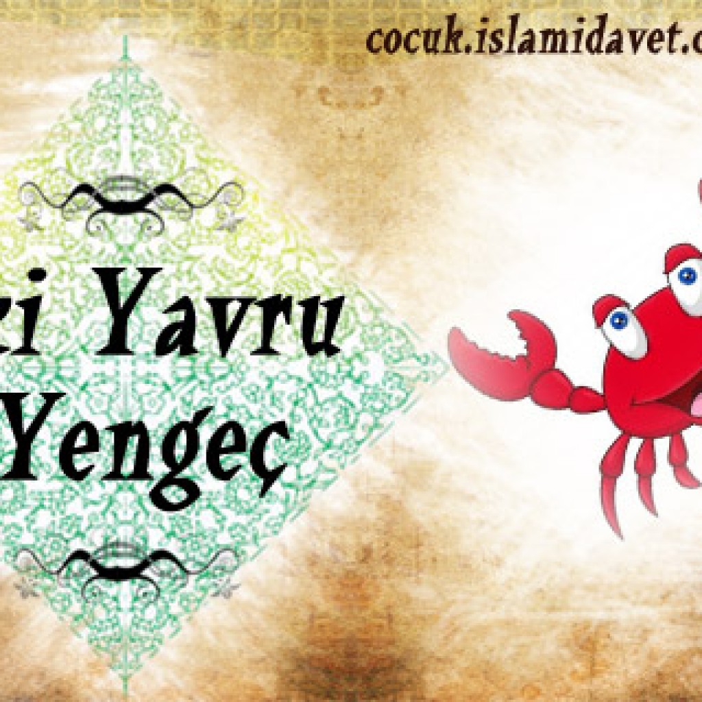 İki Yavru Yengeç
