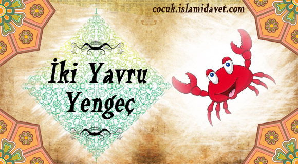 İki Yavru Yengeç İki Yavru Yengeç