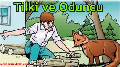 Tilki ve Oduncu Masalı