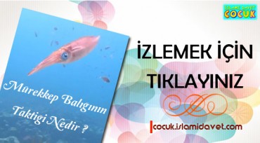 Mürekkep Balığının Taktiği Nedir?